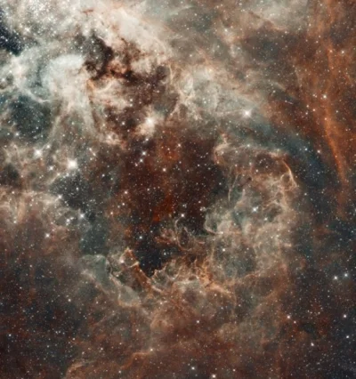 ColdMary6100 - Mgławica Tarantula w Wielkim Obłoku Magellana:)
#fotografia dla ulubi...