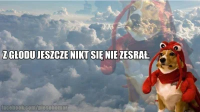 erbeka - #heheszki #smieszneobrazki #smiesznypiesek #cytatywielkichludzi