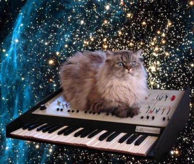 hartem - Nie wiem co wstawić, więc wrzucam kota przemierzającego wszechświat na keybo...