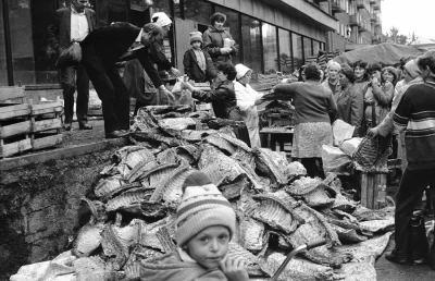 yosemitesam - #zsrr #historia #miesoboners
ZSRR. Sprzedaż mięsa.