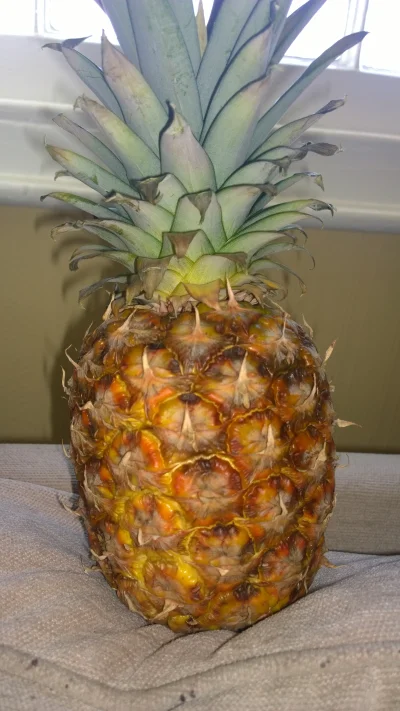 Harlem-Na-Blokowisku - #jedzenie #pytanie #ananas



Taki kolor ananasa jest ok? Czy ...