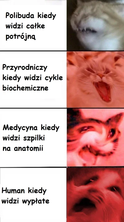 WilecSrylec - Czaicie, beka bo human xD
#heheszki #humorobrazkowy #studbaza