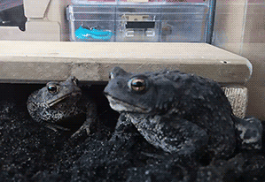 MightLight - Coś ty o------a? ( ͡º ͜ʖ͡º)

SPOILER