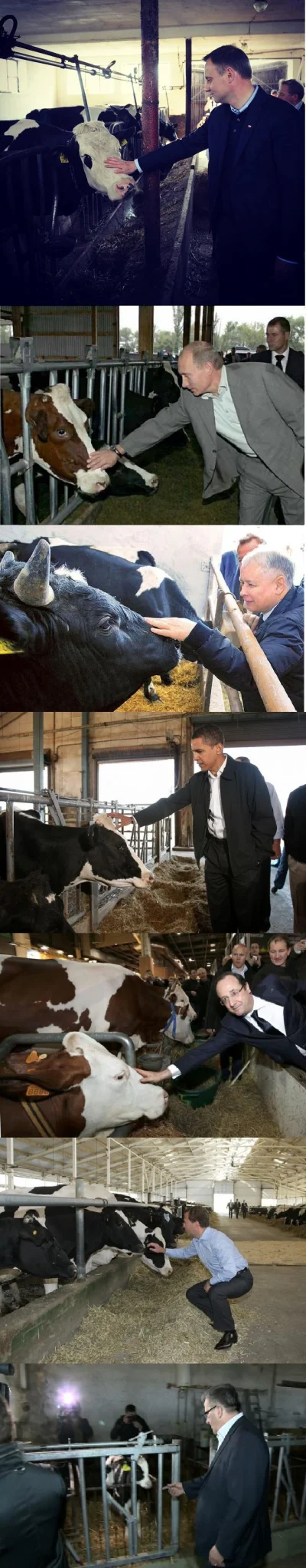 zloty_wkret - Komorowski - robisz to źle.
#krowy #politycy #obama
