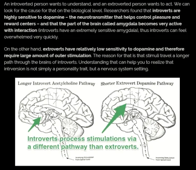 fenix7557 - Introwersja a ekstrawersja zależy od hardware'u mózgu, długości ścieżki
...