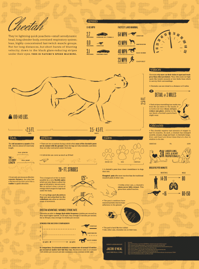 fir3fly - [ #zwierzeta #zwierzaczki #duzekoty #gepardy #infografika ]

Ruchoma infogr...