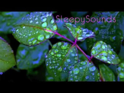starnak - @starnak: Forest Rain – 9 Hour Soundscape of Rain Falling on Leaves – sleep...
