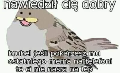 MissN0b0dy - Pokażcie memy

#brubel #heheszki #memy #humorobrazkowy