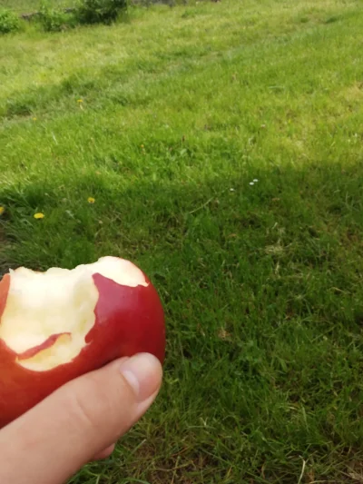 Dobrohoczy - Anglicy mawiają, że codzienne jedzenie jabłka trzyma doktorów z dala od ...