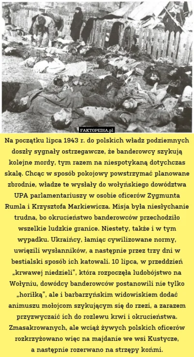 borsiu - #historia #upa #ukraina #faktopedia