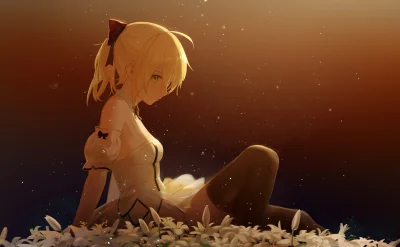 l.....f - (｡◕‿‿◕｡)
#randomanimeshit #fate #fategrandorder #saber #saberlily #artoria...