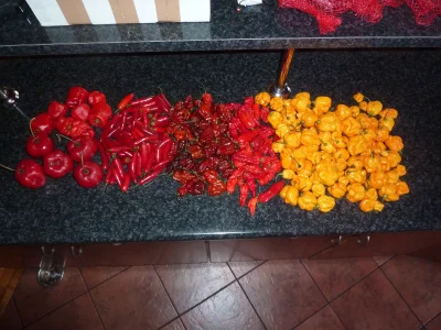 loney - #chili #chilihead #ostrezarcie 
Świeża przesyłka:

Bhut Jolokia - 0,5kg - ...