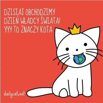 ankalara - Mirki dziś ważny dzień !!! 
#dzienkota #koty #biba #prezent dla #katzenpf...