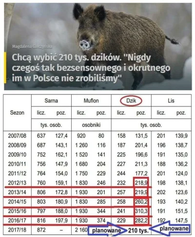 fujiyama - Co roku w Polsce odstrzeliwuje się 200-300 tys. dzików.
A teraz nagle his...