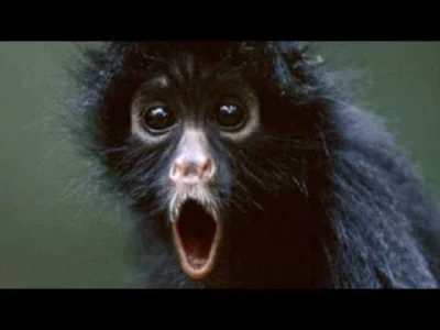 Robciqqq - pamiętacie Ventrilo Busters? niezła beka :D