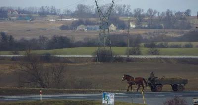 kibiklops - @dajitemka Ukrainiec już daleko za Radomiem jest, widziano go na DK 15