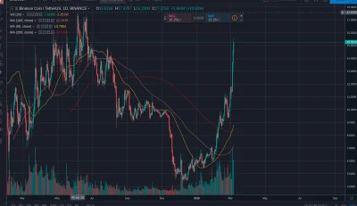logannn - Aktualna sytuacja na BNB, przedsmak tego co czeka nas na LTC