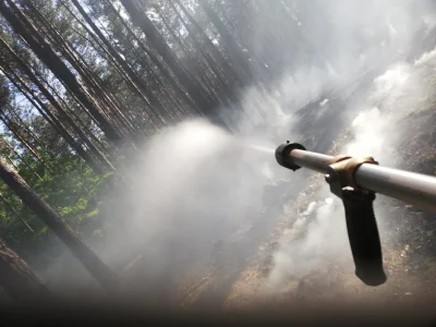 szklo-na-warsztacie - Tak się kończy grill na łonie natury, ognisko na leśnej polanie...