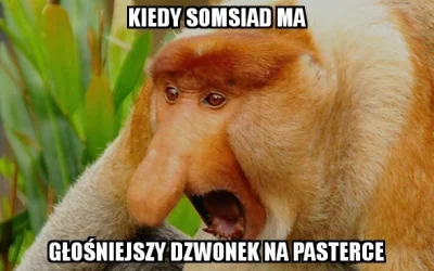 k.....k - #nosacz #nosaczsundajski #polak #swieta #pasterka #heheszki #humorobrazkowy
