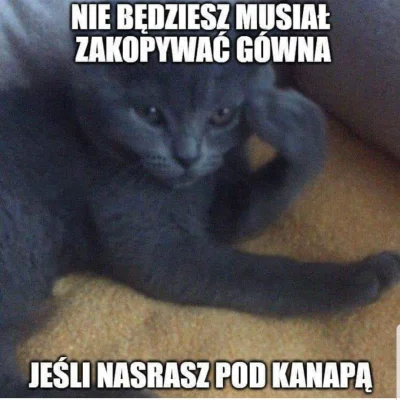 poszukujekota - Śmiechłam xD
#kitku #koty #heheszki #humorobrazkowy #gownowpis