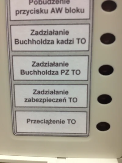 soadfan - Już widziałem wiele wariacji nazwiska Buchholtza ale tego co zobaczyłem dzi...