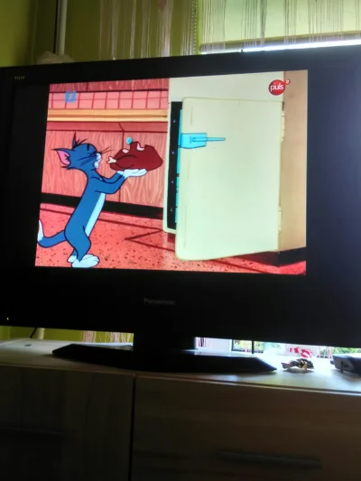 w.....e - No elo xd #puls2 tom i jerry na propsie!