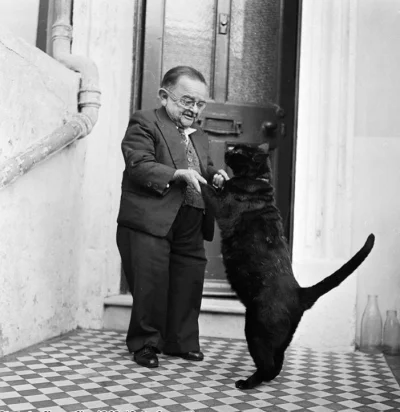 orbitowski - #zwierzaczki #koty #fotohistoria #ciekawostki Henry Berens, najmniejszy ...