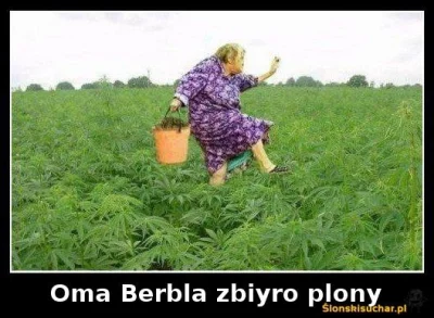 bslawek - #suchar #slonskisuchar #zodyn #marihuanaboners