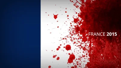 13gugu13 - #islam #polityka #francja