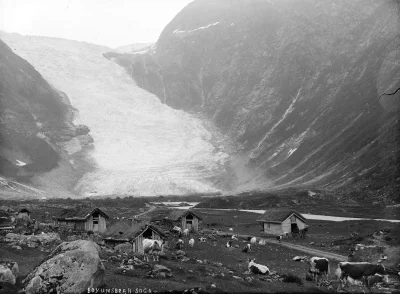 myrmekochoria - Lodowiec Bøyabreen w Norwegii, 1900.

#starszezwoje - blog ze stary...