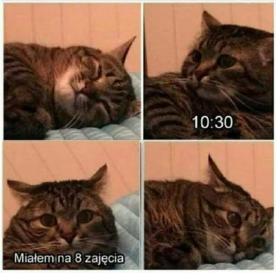 Rozbojnik_Alibaba - ma ktoś template tego memeska?

#halp