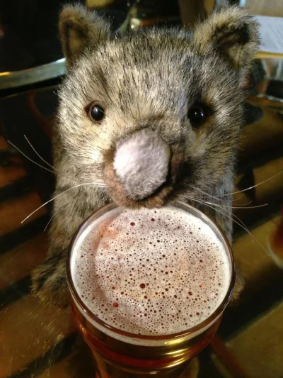 11mariom - @gregu-: Tomb Raider GOTY

Ponieważ pokazałem Ci masę fajnych wombatów, kt...