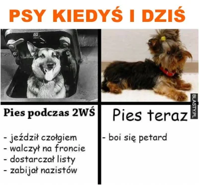 kozaqwawa - @ImInLoveWithTheCoco: mój pies (tak samo jak poprzedni) ma #!$%@? na peta...