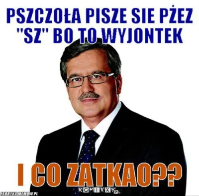 xvovx - #pewniebylo #wyboryprezydenckie2015 #bul #komoruski #heheszki