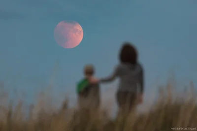 Nightscapes_pl - Jeszcze jeden kadr z ostatniego zaćmienia Księżyca. Pojedyncza ekspo...