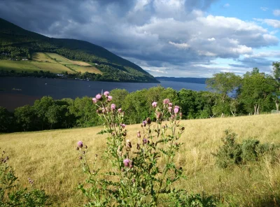 innv - #szkocja #lochness #uk 

Jest pięknie :) 

#innvpodrozuje