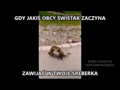 CwanyKurczak - #heheszki #humorobrazkowy #humor #afera