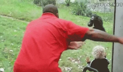 Arachnofob - #heheszki #gif #humorobrazkowy #czarnyhumor #smiesznypiesek

Lusterecz...