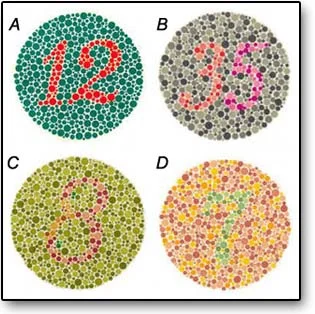 g.....2 - Jesteście daltonistami?



SPOILER
SPOILER


#daltonizm #slepotabarw #wzrok