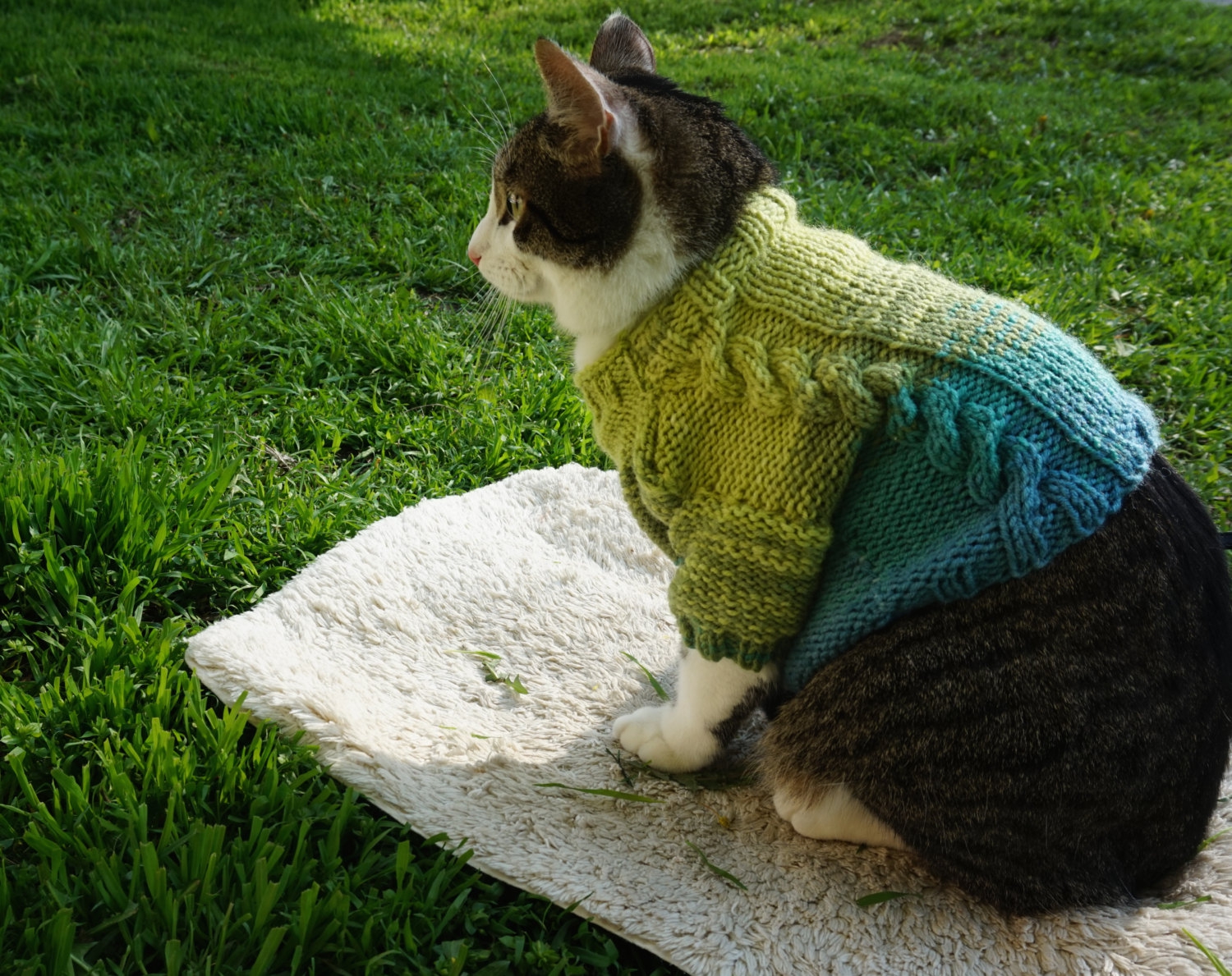 Вязаный свитер для кошки
