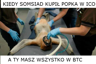 d.....s - #kryptowaluty #wykop #heheszki #bitcoin