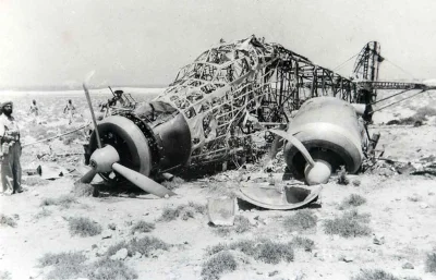 myrmekochoria - Indyjscy żołnierze natrafiają na resztki bombowca Savoia-Marchetti SM...