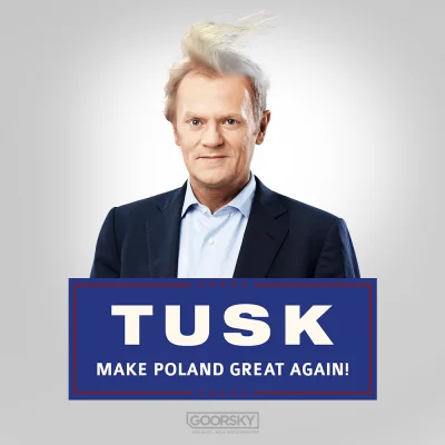 Wiggum89 - MAKE POLAND NORMAL AGAIN! MAKE PIS SMALL AGAIN! #Tusk2020 #tusk #neuropa #...