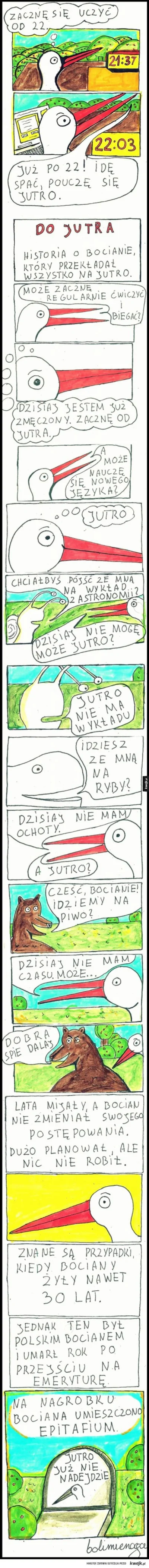 i.....t - Mój ulubiony komiks z twórczości @bolimienoga

także - #byloaledobre i tr...