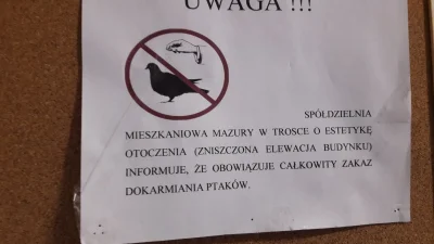 znor1006 - Zakaz solenia ptaków? #heheszki