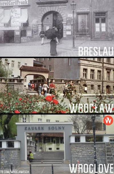 kwiatencja - ( ͡° ͜ʖ ͡°)

#wroclaw #breslau #wroclove #januszerewitalizacji