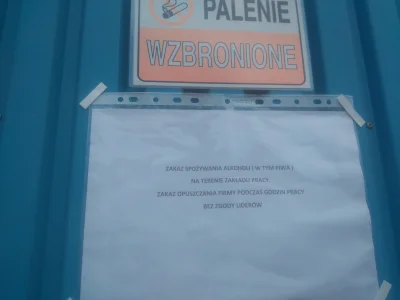 BorderColie - Mój zakład pracy ma bardzo rygorystyczne zasady. To, żeby nie pić alkoh...