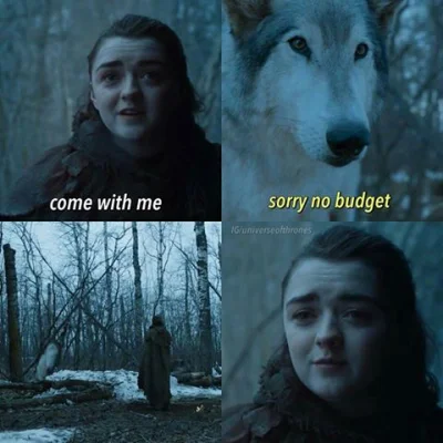 Adams_GA - Nymeria wróci w finałowej bitwie jak HBO uzbiera na CGI xD
#got