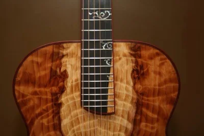 venomalus - #guitarporn #woodboners