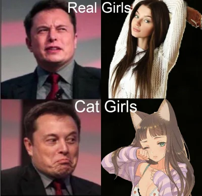 Trap-Loser - We need catgirls
#mangowpis #anime